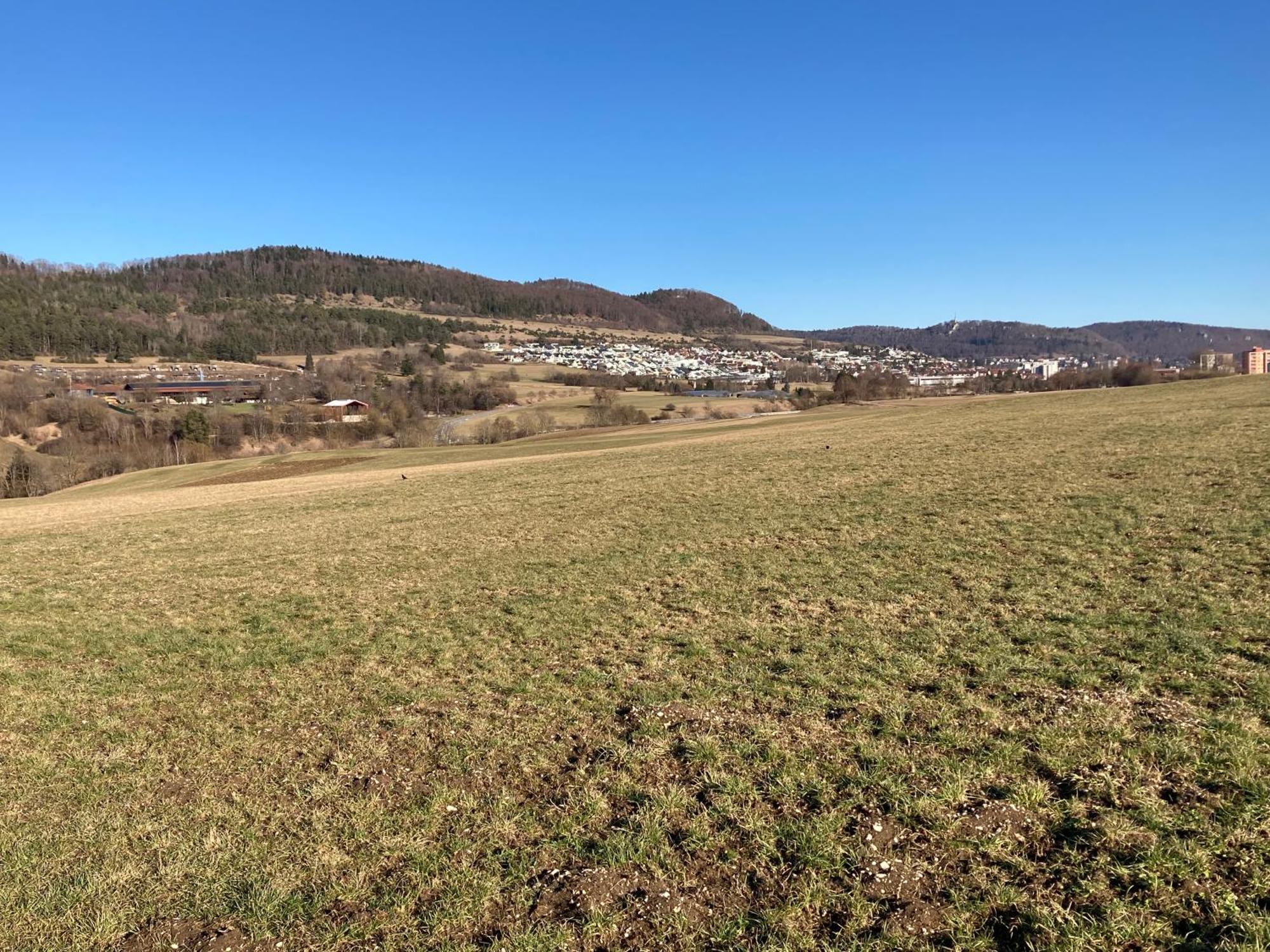 Atemberaubender Ausblick Mit Premium-wanderwegen Vor Der Haustuer Apartment *