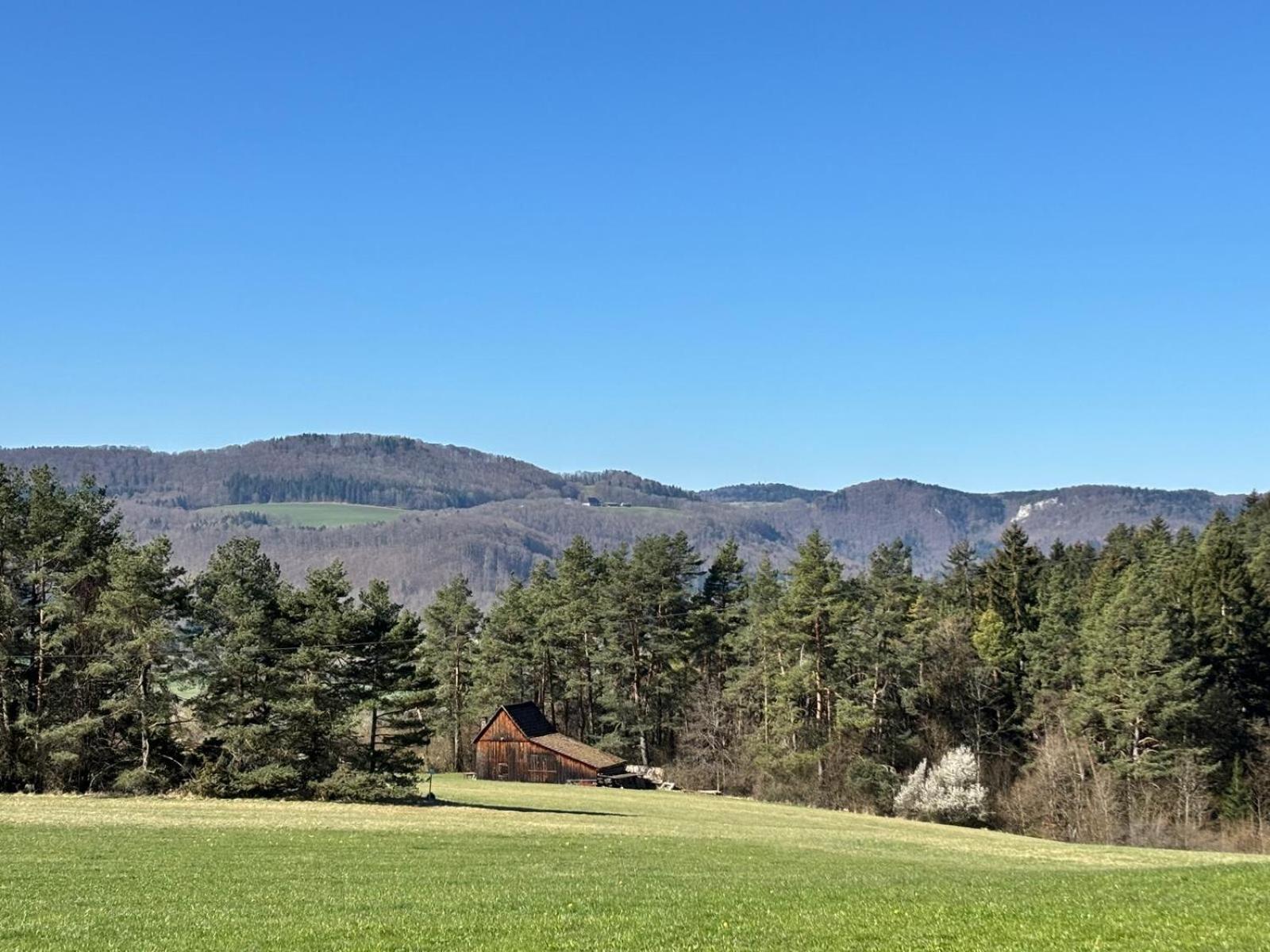 Apartment Atemberaubender Ausblick Mit Premium-wanderwegen Vor Der Haustuer Albstadt